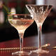 sklenice-kupetka-luigi-bormioli-mixology-225-ml-3.jpg