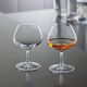 sklenice-na-cognac-spiegelau-perfect-serve-205-ml-1.jpg