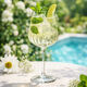 sklenice-rcr-crystal-timeless-na-cin-tonic-510-ml-2.jpg